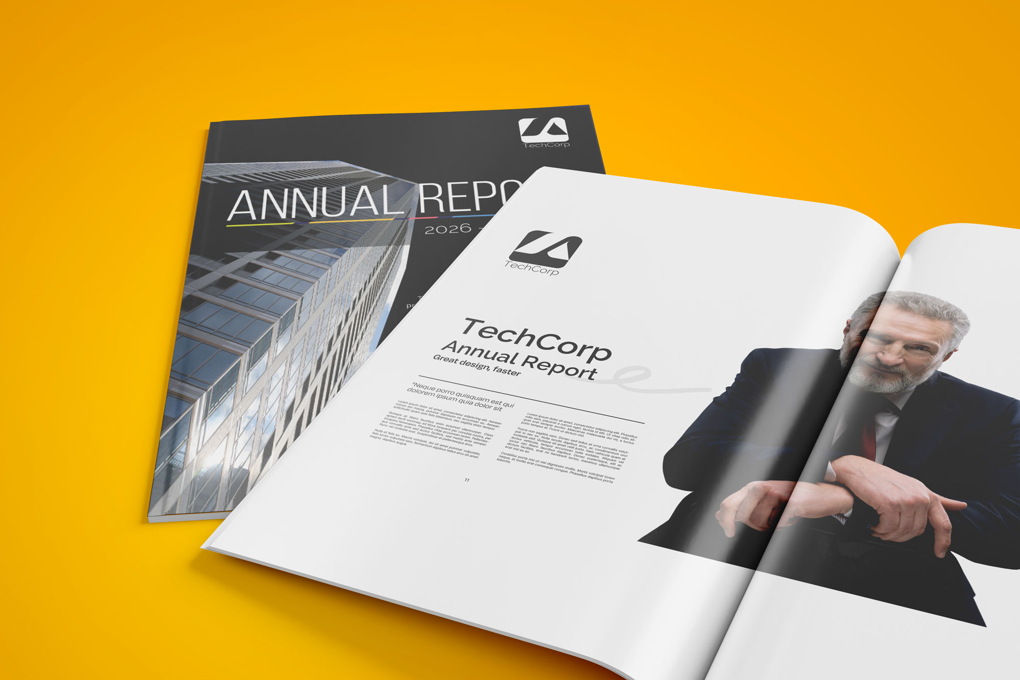 TechCorp Annual Report